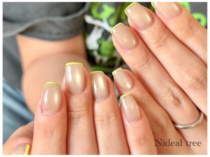 ニディアルツリー(Nideal tree)の写真
