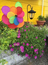 東金ひまわり美容整体サロン/