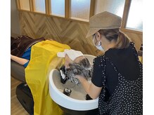 リトルツリー(little tree)/ヘッドスパ施術の様子