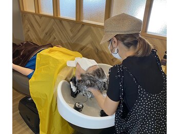 リトルツリー(little tree)/ヘッドスパ施術の様子