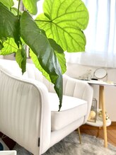 イッポ(ippo)/疲労感、浮腫みが気になる方