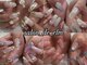 サロンド エルム(salon de elm)の写真