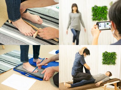 ニコ(niko)の写真