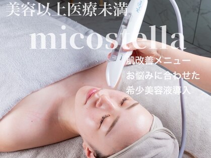 煌(kirameki)の写真
