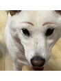 チルアンドアイ 千葉駅前店(Chill&Eye) 愛犬のバディーです！白くて上が茶色なのできな粉餅に似てます☆