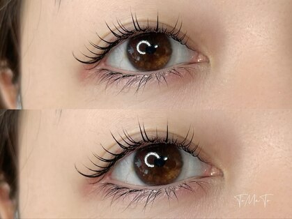 トマト(ToMoTo)の写真