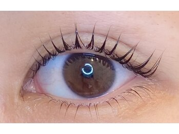 アイラッシュプラン メル 高槻JR駅前店(eyelash plan Mel)/パリジェンヌラッシュリフト