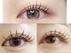 アイラッシュサロン ミミ 目黒店(Eyelash salon Mimi)の写真/熟練アイリストのみ★豊富な経験と知識、丁寧なカウンセリングで目や瞼の形に合わせたデザインをご提案★