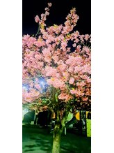 ホグラボ 横須賀中央本店(HOGULABO)&nbsp;山室 ヤマムロ