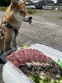 マロカ(Marroka) 高知県出身です!美味しい食べ物、自然、動物が大好きです♪