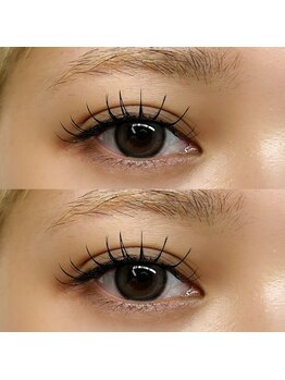 アニ 恵比寿(ani)/フラットラッシュ100本♪