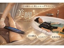 ラローゼ トウキョウ(LA ROSEE TOKYO)の雰囲気（ただ細いだけではない。自信を纏う、大人の本格美脚プログラム。）