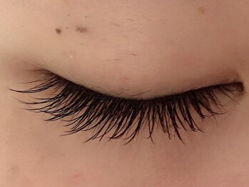 カラン 焼津店(CALIN)/フラットラッシュ120本