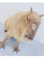 アイラッシュサロン シェリ(cheri) よく動物園や水族館、ふれあいカフェに行きます☆