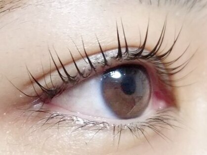 アイラッシュ(愛Lash)の写真