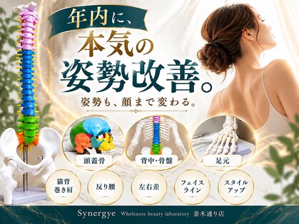 シナジェ 並木通り店(Synergye)の写真