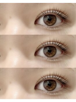 トータルビューティーローズ(Rose)/パリジェンヌラッシュリフト