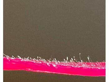 エヌ(N)/眉周りワックスの産毛写真