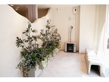 ティアム(Tia'm)/待合室はグリーンが溢れる空間に