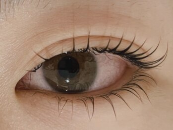 ユニバーサル(UNIVERSAL)/まつ毛パーマ／パリジェンヌ上下