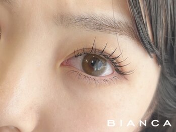 ビアンカ 亀戸店(Bianca)/フラットラッシュ160本 ¥7000 