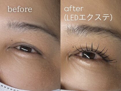 ティアラ(Tiara)の写真