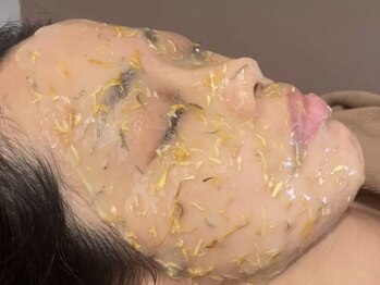 シェルジンジャー(shell ginger)/ハーブパック