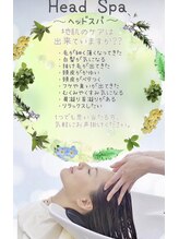 リトルツリー(little tree) ヘッドスパ