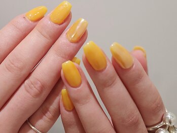 アンバイアオ 本町(UN by ao.)/ワンカラー