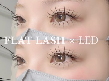 エコール(EcorE)/【LED×フラットラッシュ】