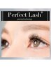 最新特許取得技術☆【Perfect Lash】100本まで￥4900  [コーティング仕上込]