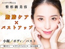 パピヨン(Papillon)