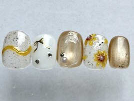 定額season course