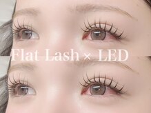 エコール(EcorE)/【LED×フラットラッシュ】