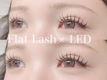 エコール(EcorE)/【LED×フラットラッシュ】