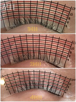 アイラッシュマルヴァ(Eye Lash Malva)/サロンケア☆ラッシュアディクト