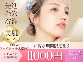 エクラ(Eclat)/VOS/ニキビケア/毛穴洗浄/美白