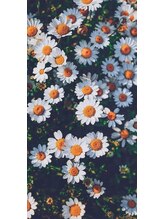 イッチ(ITCHi) eyelist miku