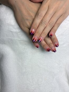 オランダエステティック(Holland Esthetics)/カラーグラデーション