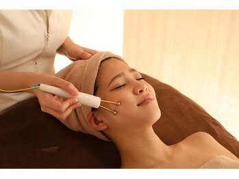 エステティック レイビス 川崎店(RAYVIS)/