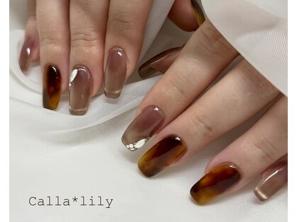 カラーリリー 恵比寿(Calla lily)の写真