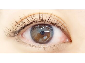 アイラッシュ ルーム(eyelash RooM)/セーブル 120本♪