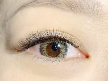 バタフライジュエル 本店(ButterflyJewel)/3Dボリュームラッシュ140束