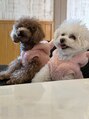 ビューティーサロン ラグジューム(Beauty salon Laxum)&nbsp;プードル2匹飼ってます！