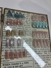 【人気No.1】大人気♪サンプルから選ぶトレンド定額コース  ￥7600