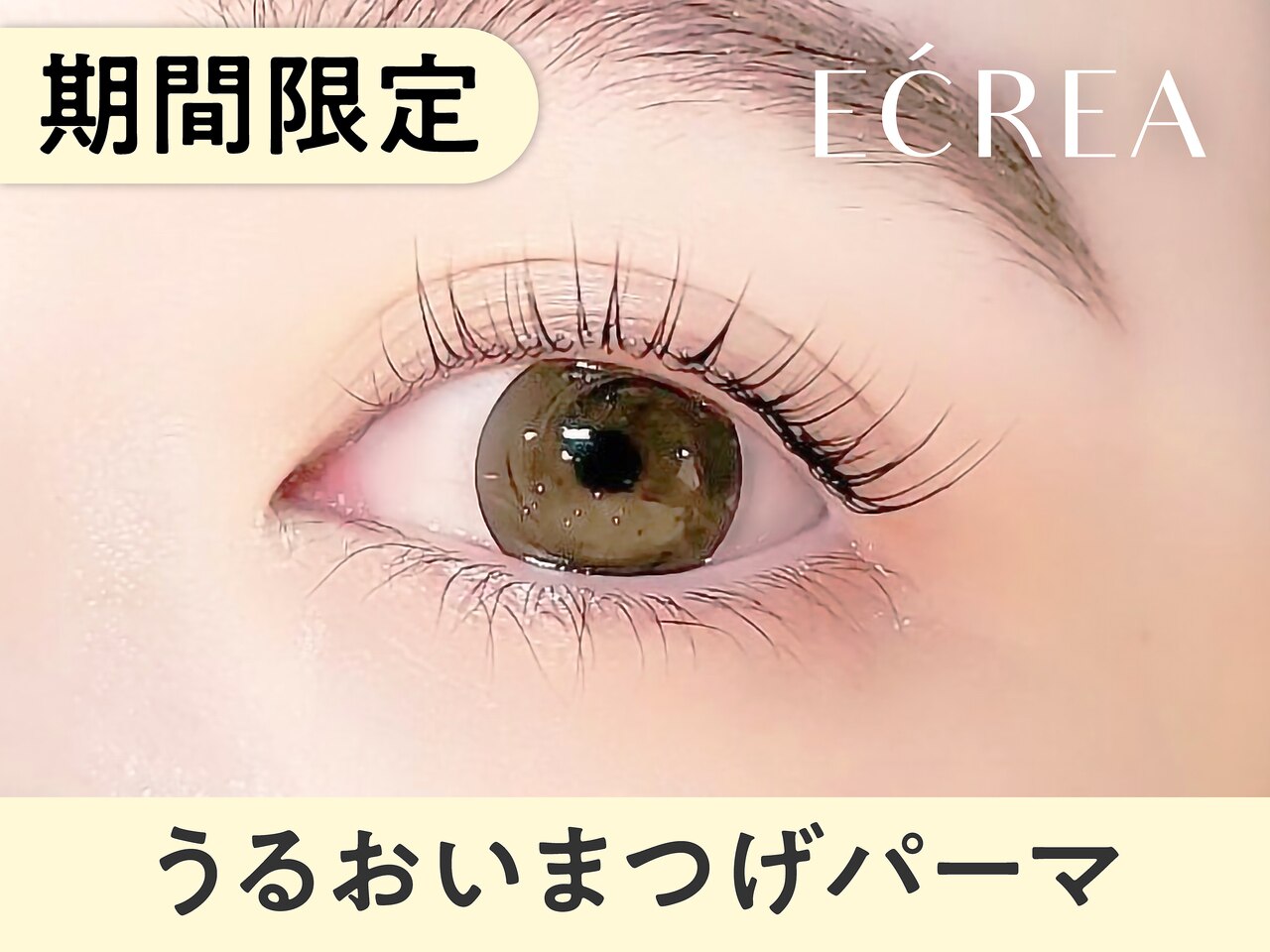 【4月20日まで限定】潤いまつげパーマ \3300→【\2390】[博多/東比恵/祇園]