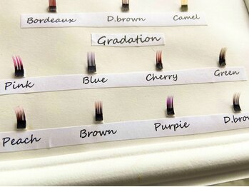 リノ 天神(LINO)/シングルカラー2