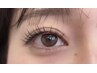 【いつでもこの価格】フラットラッシュ120本
