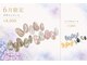 フルブルーム(fullbloom)の写真