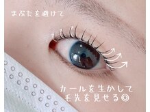 リリー バレンタイン(Lily Valentine)/大通/まつげパーマ/まつ毛パーマ